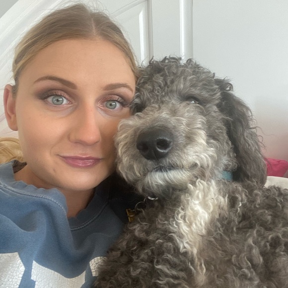 Meet your Posher, Amelia - Picture 5 of 6